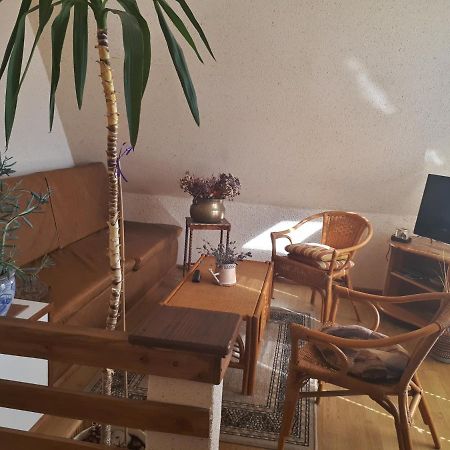 Pokoje Goscinne "Olenka" Miedzyzdroje Εξωτερικό φωτογραφία